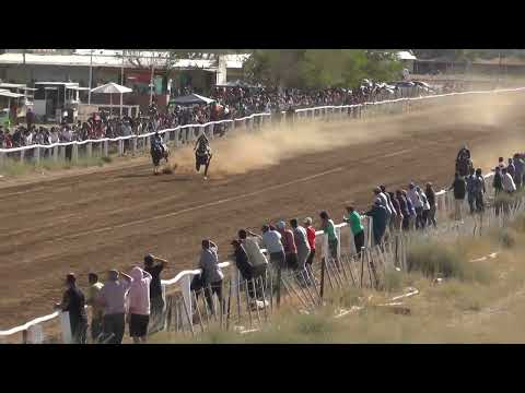 POBRE VIEJO  Club Hipico "Viento Sur" - Cutral Co    19-03-2023