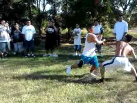 MMA Fight- Saul vs Happy