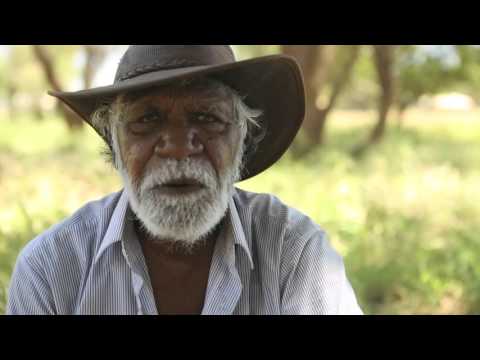 1 - Warlpiri Governance charts explained - Introduction