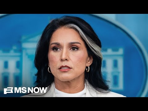 Guided by a Guru? Inside explosive WaPo report about the man who shaped Gabbard's career