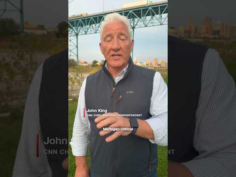 Michigan's Midterm Message