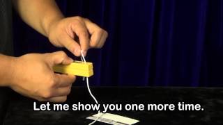 The Pillars of Thor by TENYO / SEO MAGIC USA