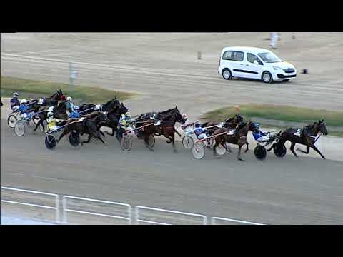 Napoli Trotto 21/07/2023 - 2ª corsa