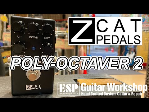 Poly Octaver 2 by ZCAT | RockBoard