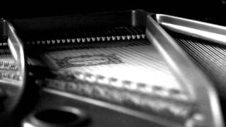 Tom The Lion - Ragdoll