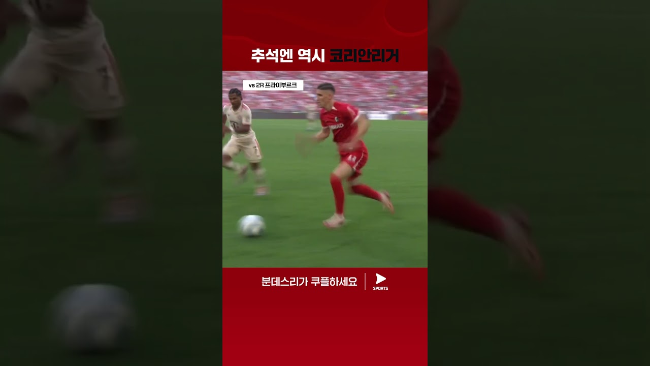 '코리안 몬스터' 김민재의 24-25 활약상 | 분데스리가 | 바이에른 뮌헨