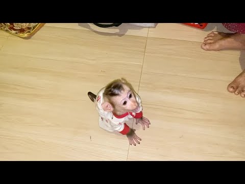 Spoiled Baby DAM Get Up Very Early Morning To Wake Up Everyone