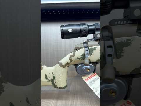 Best Weatherby rifle? 