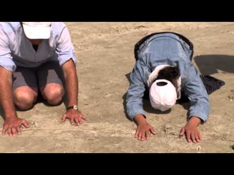 Auf der Suche nach Heilern - Ich bin ein Hypochonder -- Deutscher Trailer - Kinostart 25.09.2014