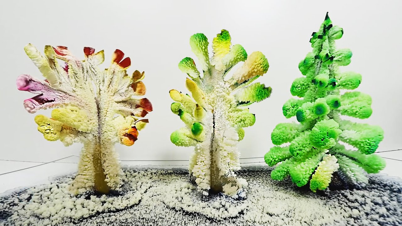 Arboles de Cristales Caseros (DIY Magic Crystal Garden)