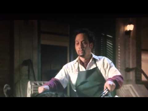 Holy shit, it's a Cat!