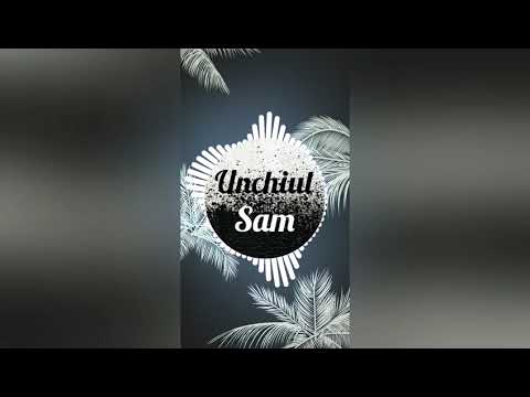 Dj Sava feat Faydee - Love in DUBAI remix U.S