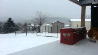 preview picture of video 'Snow storm in East Tn'