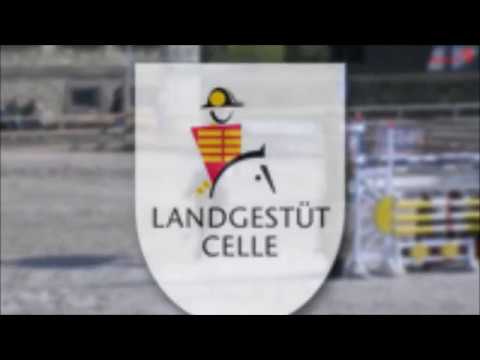 Nairobi de Muze 2017