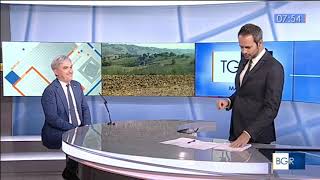 Buongiorno Regione TGTRE Marche intervista a Francesco TORRIANI