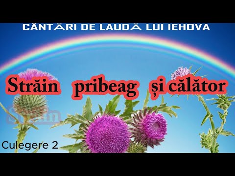 Străin pribeag și călător Cul2