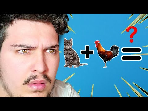 NESE NUK JU KA HEC SHKOLLA MOS E KQYRNI KETE VIDEO