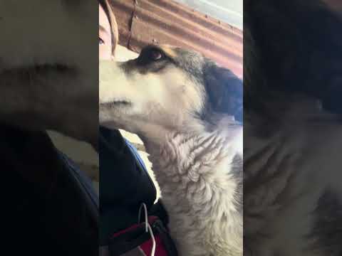 Johannes verteilt Küsschen