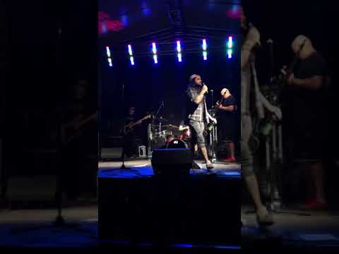 Darmozjady! KONCERT 26.07.2019, PIWNA PRZYSTAN, TO WKURWIA MNIE