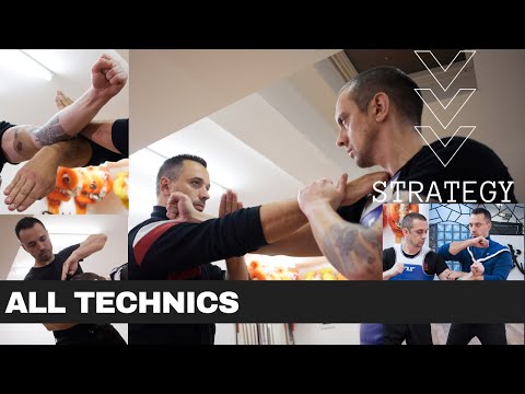 Pak Mei Kung Fu Strategy - All Technics