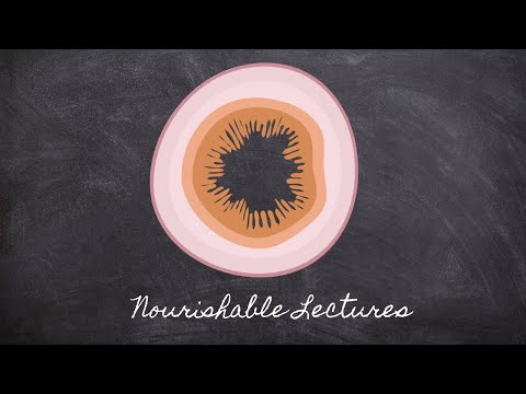 4 Layers of the GI Tract | Part 3 Foundations in Digestion | Nourishable Macronutrients Lecture 6