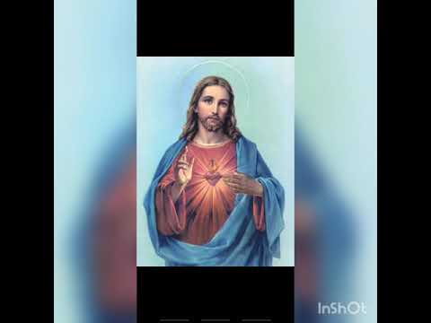 FUNGA MO'ONIA - NEU HE MAMA'O FAU