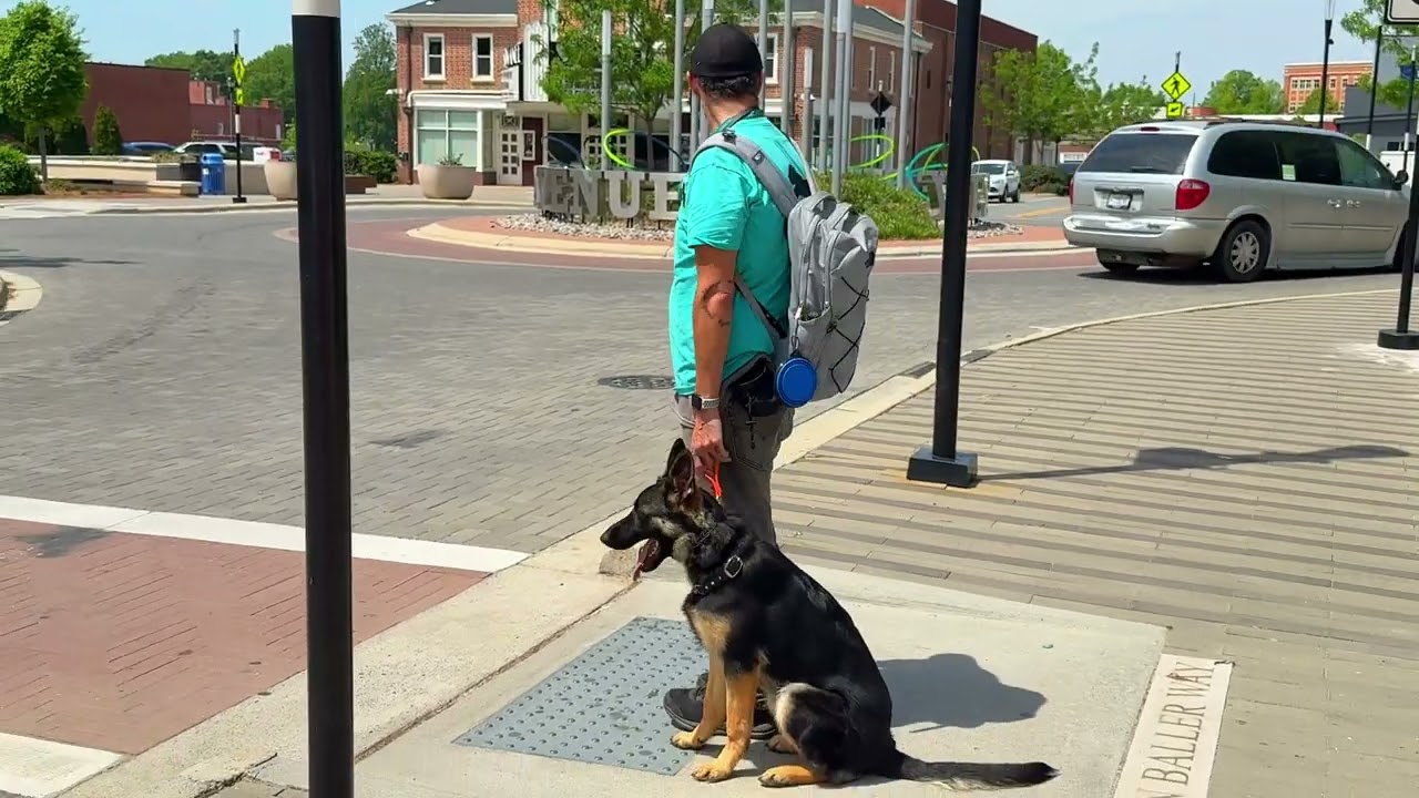 Nala's Transformation Journey