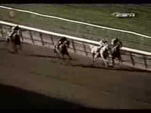 LIDO PALACE - 2002 Woodward Stakes [G1 - 1800 mts]