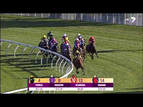 Guelph wins the 2013 2 year olds group1 Champagne Stakes