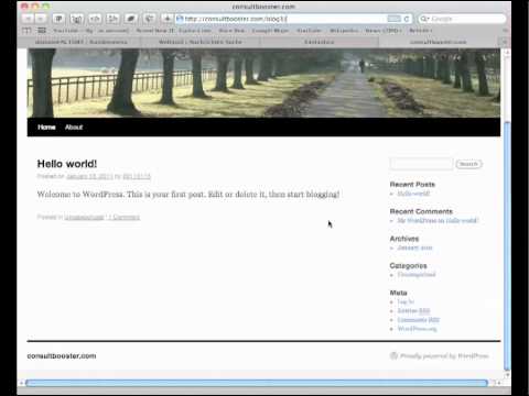 Tutorial - Ihren eigenen Wordpress-Blog erstellen in unter 5 Minuten - So geht's bei Hostgator