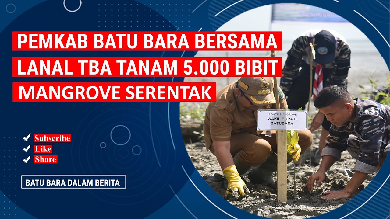 HARI MANGROVE SEDUNIA, PEMKAB BATU BARA BERSAMA LANAL TBA TANAM 5.000 BIBIT MANGROVE SERENTAK
