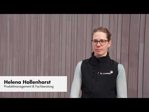 Wie Sie Magenproblemen beim Pferd vorbeugen können?