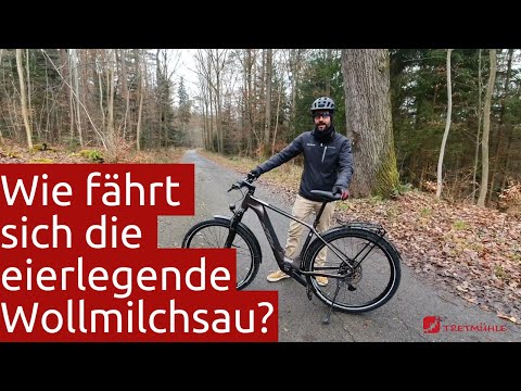 Testfahrt - Alleskönner KTM Macina Race SX LFC / Tretmühle Stuttgart