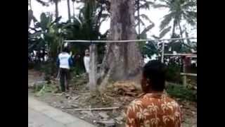 preview picture of video 'Penebangan Pohon Kepuh yang terkenal angker di Candiwulan Kebumen'