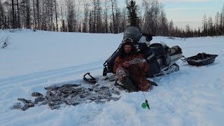 Ловля хариуса на мормышку зимой
