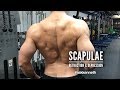 #AskKenneth 297: Scapulae Movement