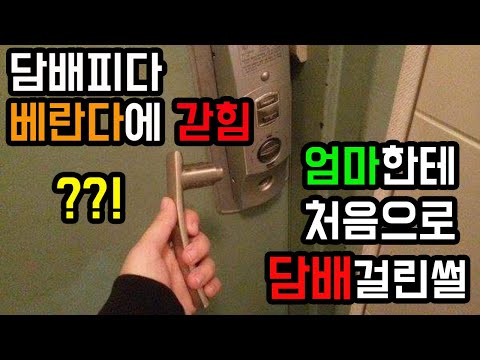 아이콘