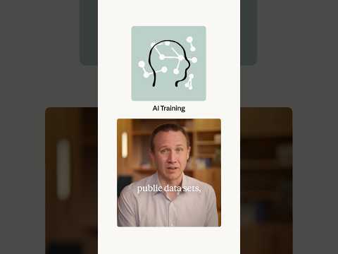 Video Thumbnail: What do AI models actually know?