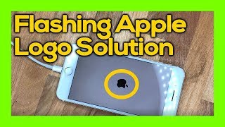 apple iPhone logo flashing on and off - solution