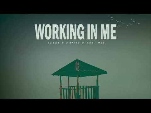 TBabz X Marizu X Noël Mio—Working In Me