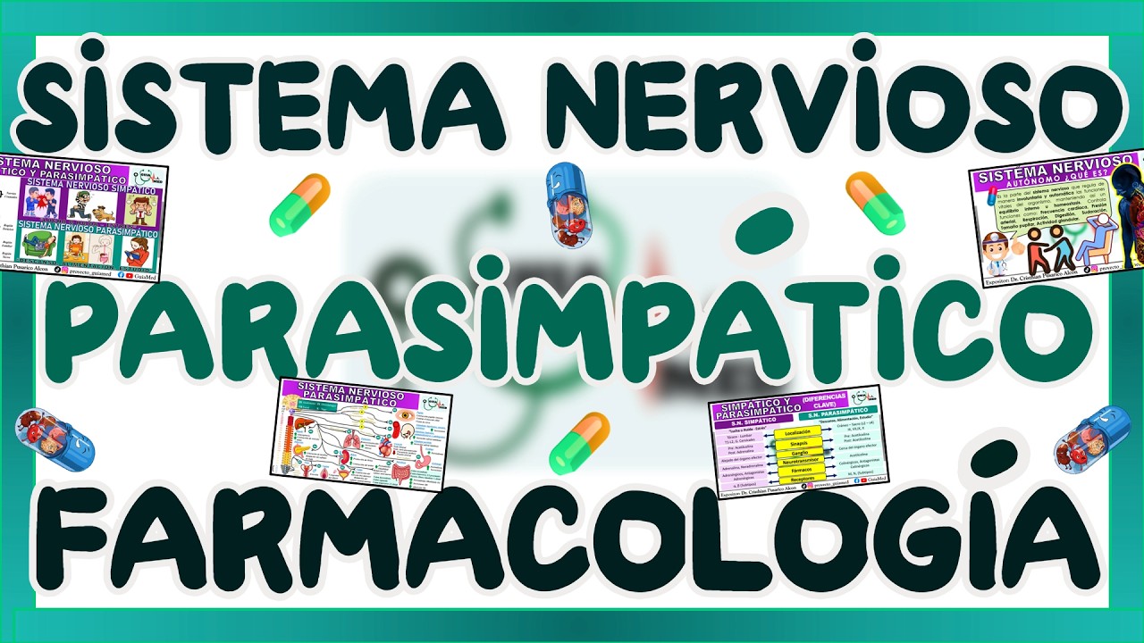 SISTEMA NERVIOSO PARASIMPÁTICO FARMACOLOGÍA | GuiaMed