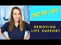 What Happens When Life Support Is Removed End Of Life
