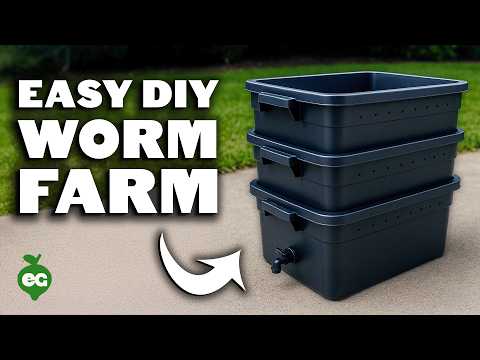 Building a Stackable DIY Worm Farm for $30 🐛