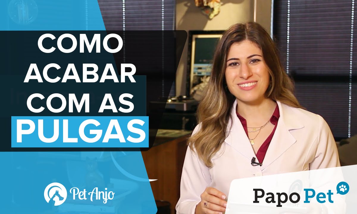 Acabe com as Pulgas de Cachorros e Gatos! - Papo Pet por Carol Rocha