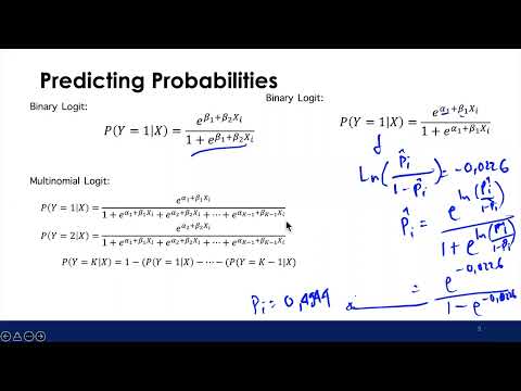 Ekonometrika II: Multinomial Logit Model