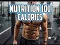 Nutrition 101: Calories, Maintenance, Cutting, Bulking - Matt Versus 3.1