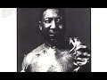 Muddy Waters - Screamin' and Cryin' - Into the Music Muddy Waters - Screamin' and Cryin'
