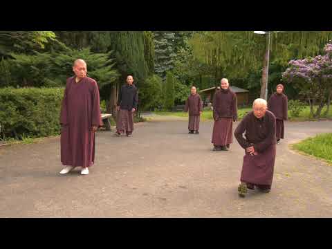 EIAB On-line Pfingsten Retreat - Morning Moving Meditation - 2020-05-31