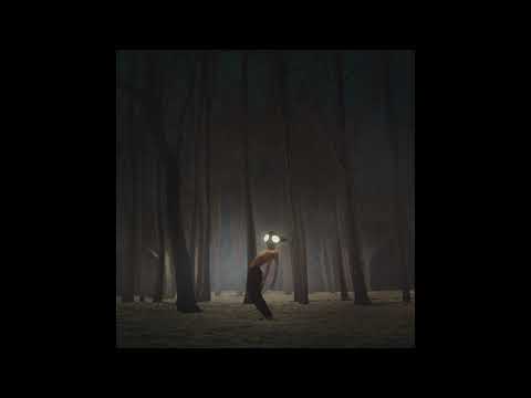 Geese - Projector (Full Album)