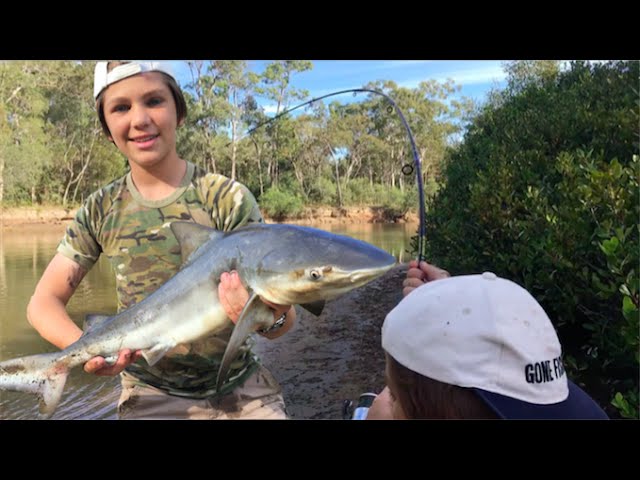 Shark Fishing and catching HUGE fish!